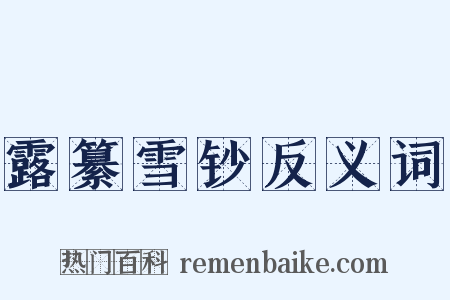 露纂雪钞反义词是什么意思的图片